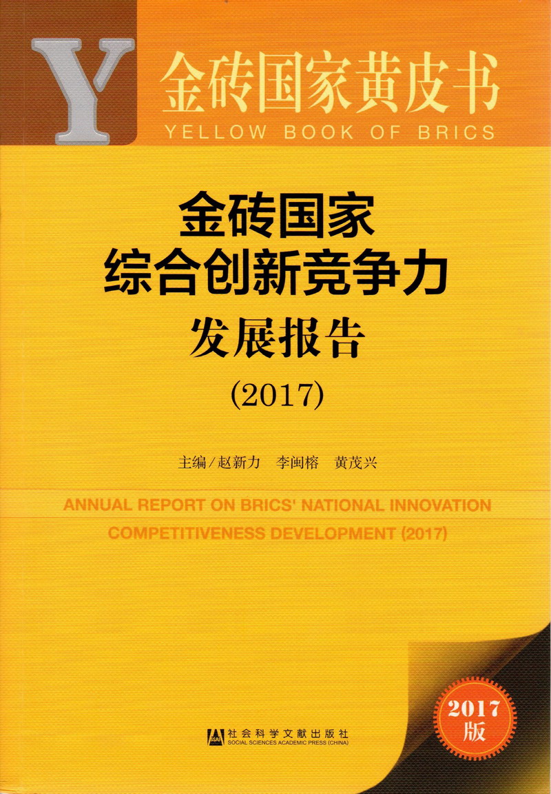 大鸡吧狠狠操我啊啊啊啊啊视频金砖国家综合创新竞争力发展报告（2017）